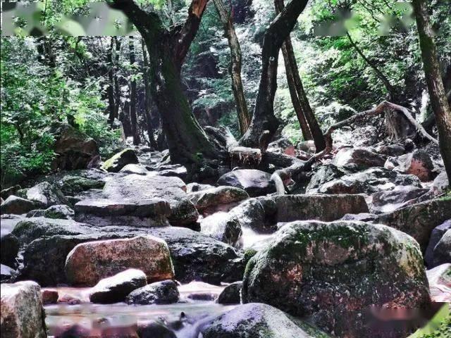 探索风车海岸秘闻任务攻略坐标,级别最高的知识星球